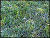 PICT0037.JPG