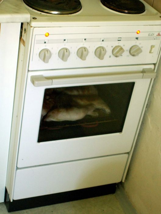 PICT0002.JPG