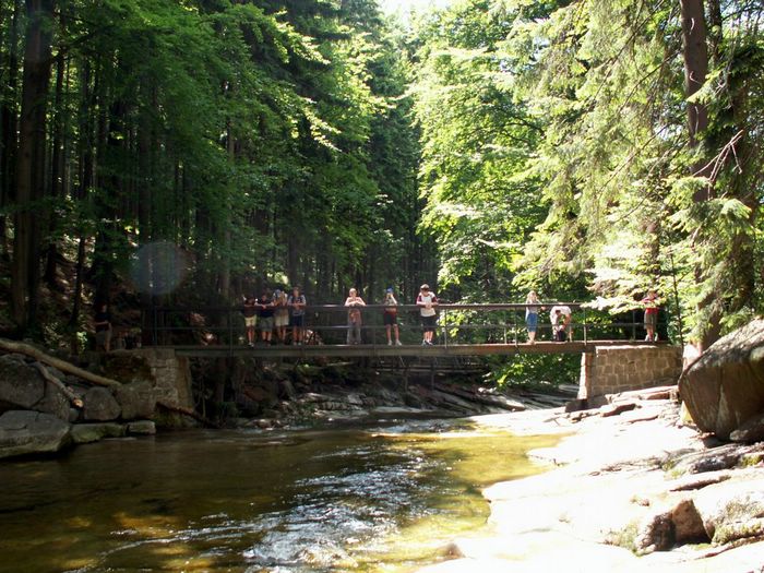 PICT0061.JPG