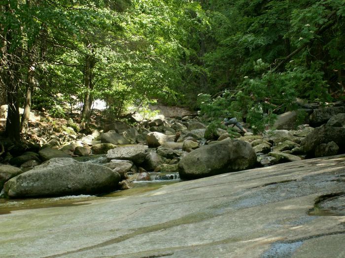 PICT0077.JPG