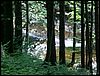 PICT0054.JPG