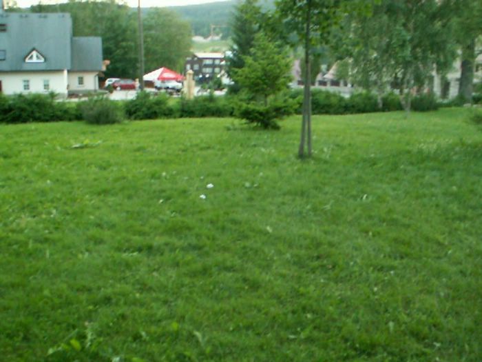 PICT0078.JPG