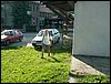 PICT0003.JPG