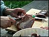 PICT0022.JPG