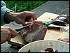PICT0023.JPG