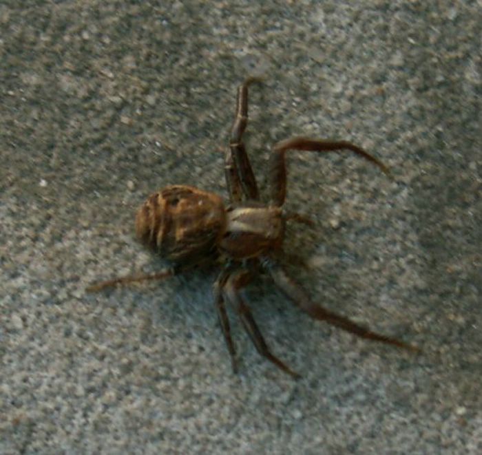 PICT0002.JPG