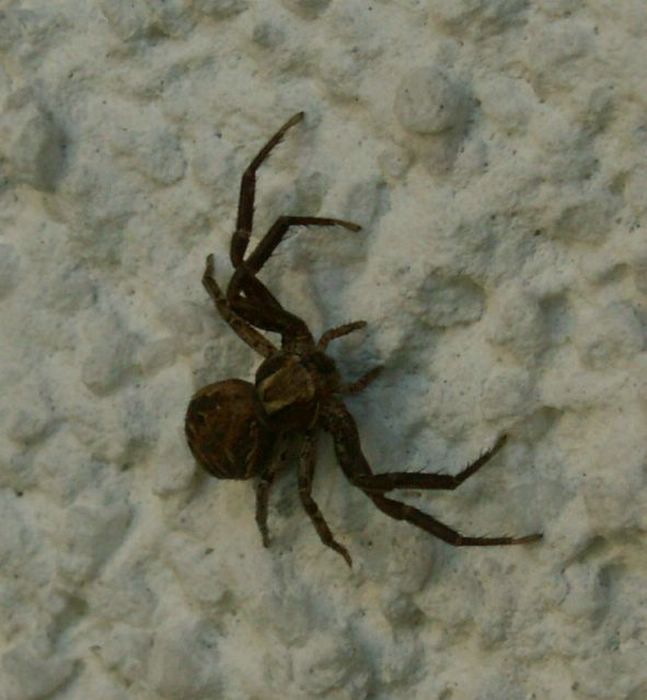 PICT0003.JPG