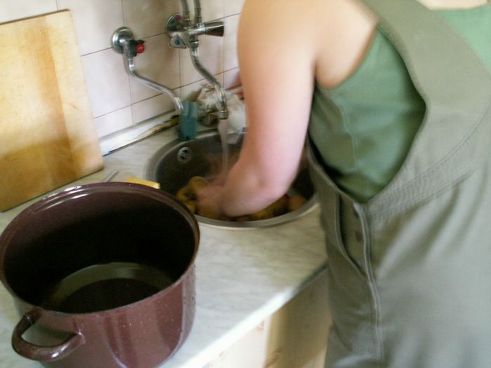 PICT0029.JPG