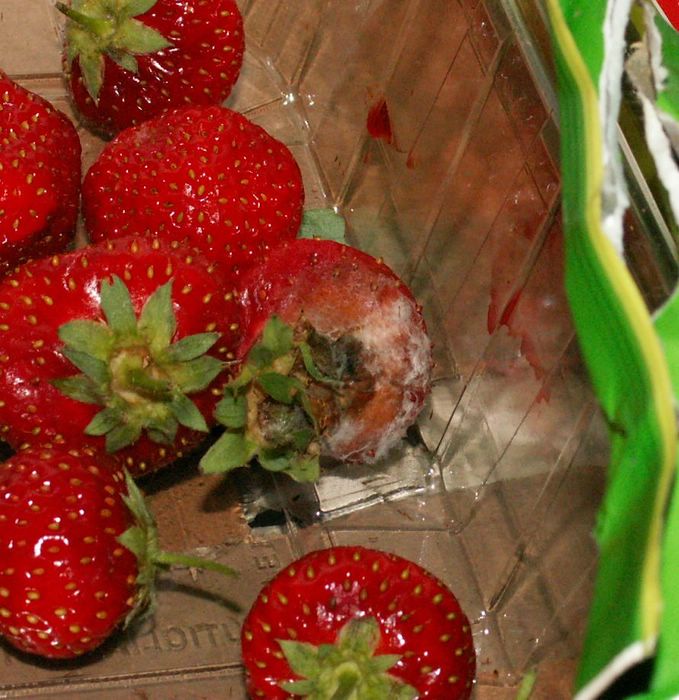 PICT0035.JPG