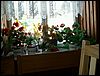 PICT0067.JPG