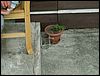 PICT0005.JPG