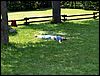 PICT0008.JPG