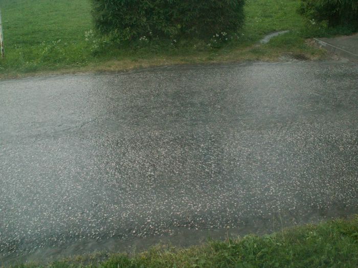 PICT0013.JPG
