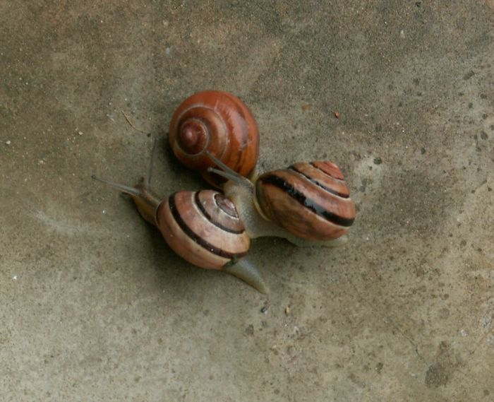 PICT0006.JPG