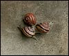 PICT0006.JPG