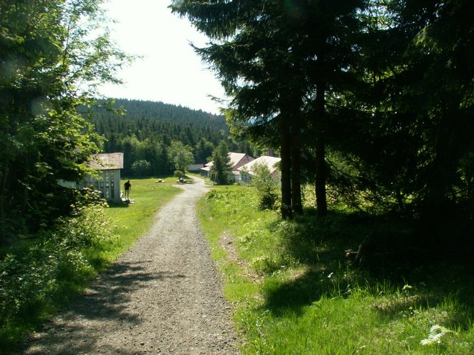 060611_PICT0027.JPG