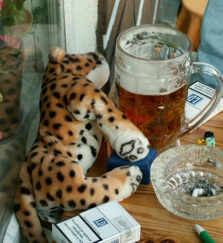 060611_PICT0085.JPG