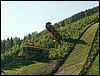 060611_PICT0014.JPG