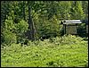 060611_PICT0035.JPG