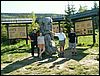 060611_PICT0040.JPG