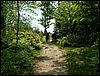060611_PICT0056.JPG