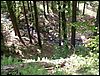 060611_PICT0058.JPG