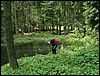 060611_PICT0061.JPG