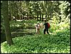 060611_PICT0066.JPG