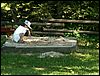 060612_PICT0008.JPG