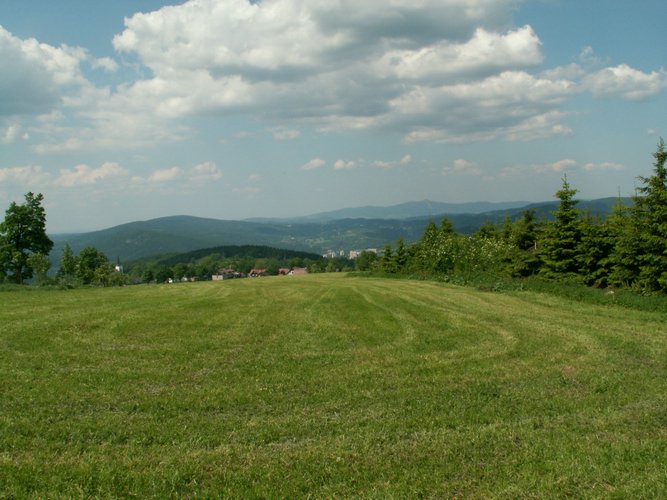 060613_PICT0014.JPG