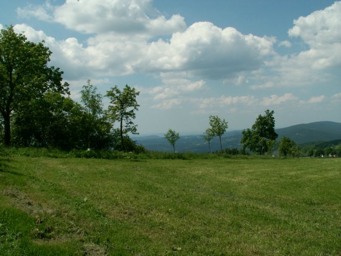 060613_PICT0015.JPG