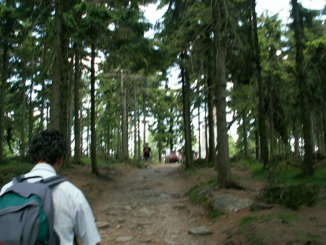 060613_PICT0026.JPG