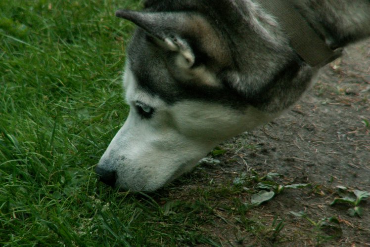 060613_PICT0032.JPG