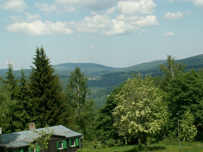 060613_PICT0040.JPG