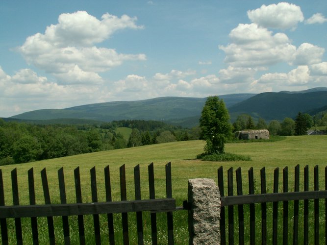 060613_PICT0064.JPG