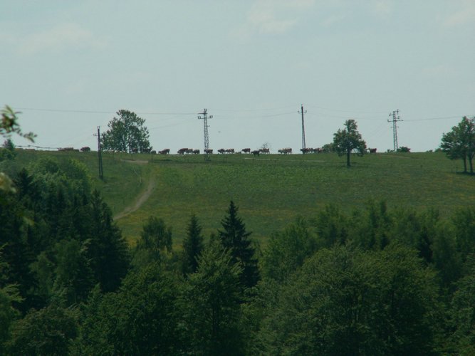 060613_PICT0073.JPG