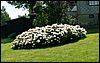 060613_PICT0010.JPG