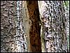 060613_PICT0012.JPG