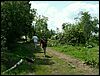 060613_PICT0013.JPG