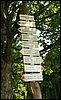 060613_PICT0021.JPG