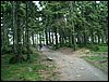 060613_PICT0024.JPG