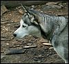 060613_PICT0031.JPG