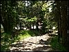 060613_PICT0033.JPG