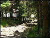 060613_PICT0034.JPG