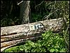 060613_PICT0037.JPG