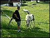 060613_PICT0042.JPG