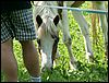 060613_PICT0043.JPG