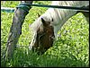 060613_PICT0045.JPG