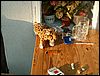 060613b_PICT0008.JPG