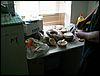 060614_PICT0005.JPG